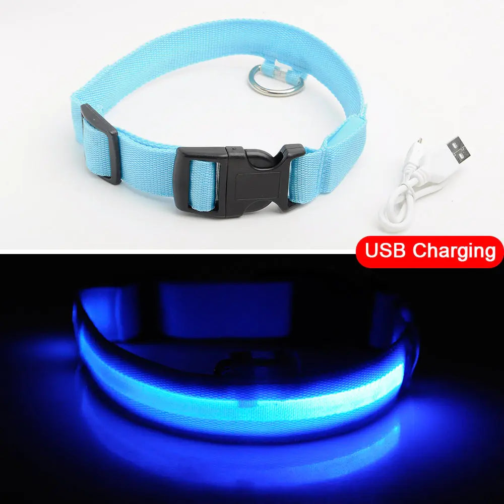 Get 20% OFF an LED Dog Collar + a FREE Copy Of - 15 Essential Safety Tips for Walking Your Dog at Night - eBook