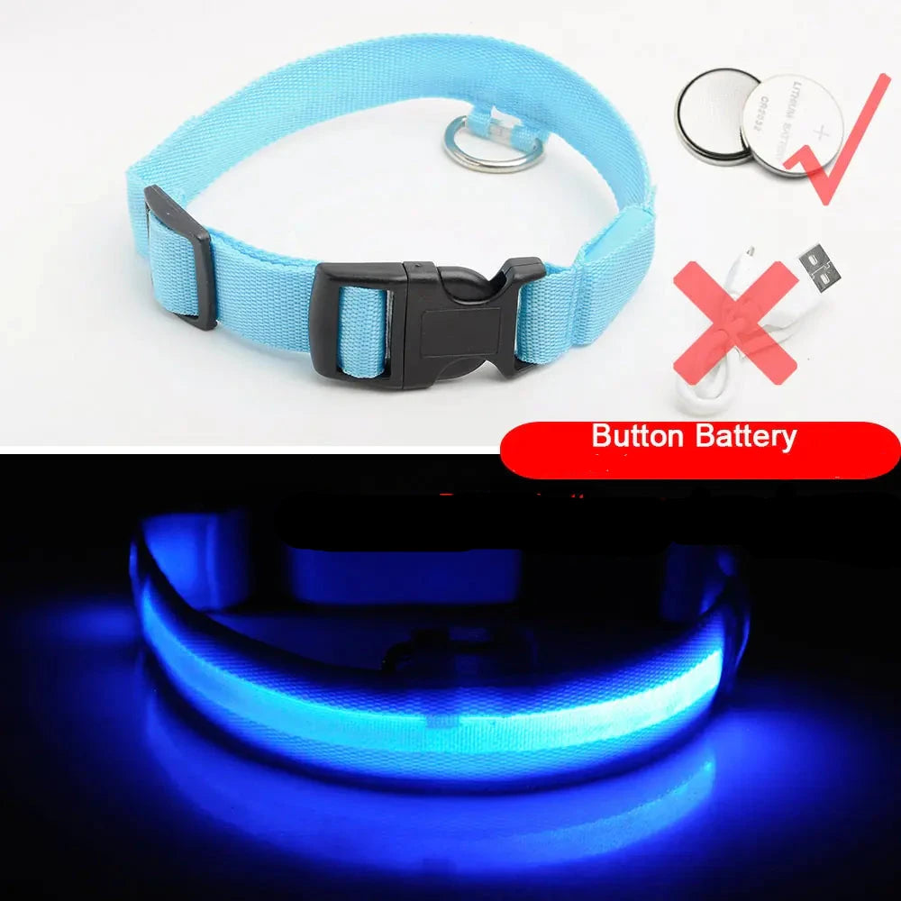 Get 20% OFF an LED Dog Collar + a FREE Copy Of - 15 Essential Safety Tips for Walking Your Dog at Night - eBook