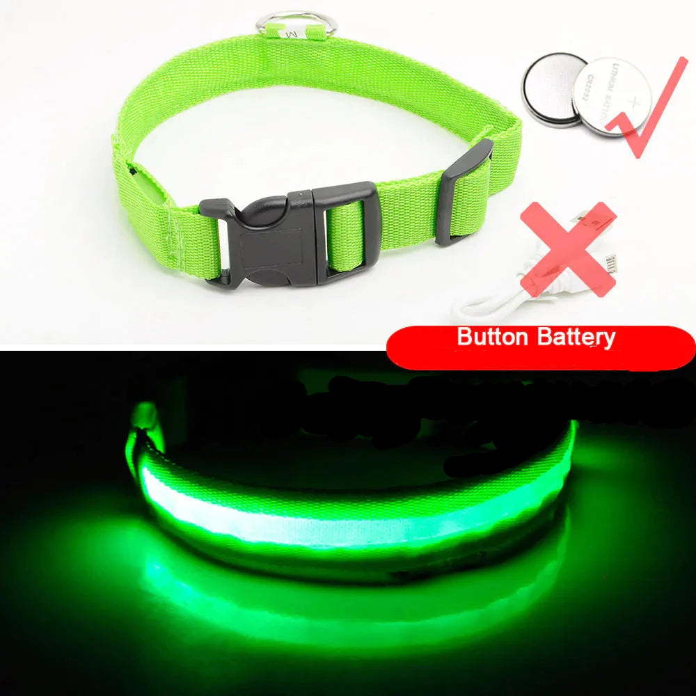 Get 20% OFF an LED Dog Collar + a FREE Copy Of - 15 Essential Safety Tips for Walking Your Dog at Night - eBook