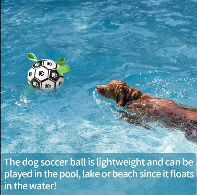 Interactive Dog Toy K9 soccer ball