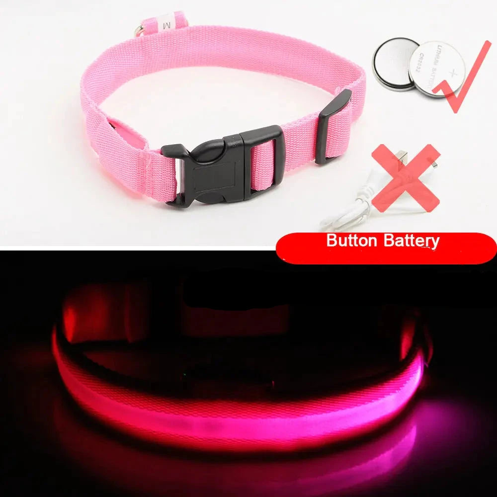 Get 20% OFF an LED Dog Collar + a FREE Copy Of - 15 Essential Safety Tips for Walking Your Dog at Night - eBook