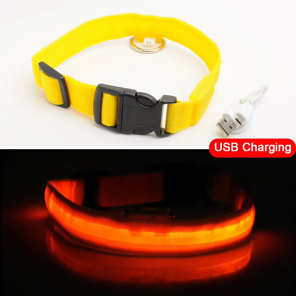 Get 20% OFF an LED Dog Collar + a FREE Copy Of - 15 Essential Safety Tips for Walking Your Dog at Night - eBook