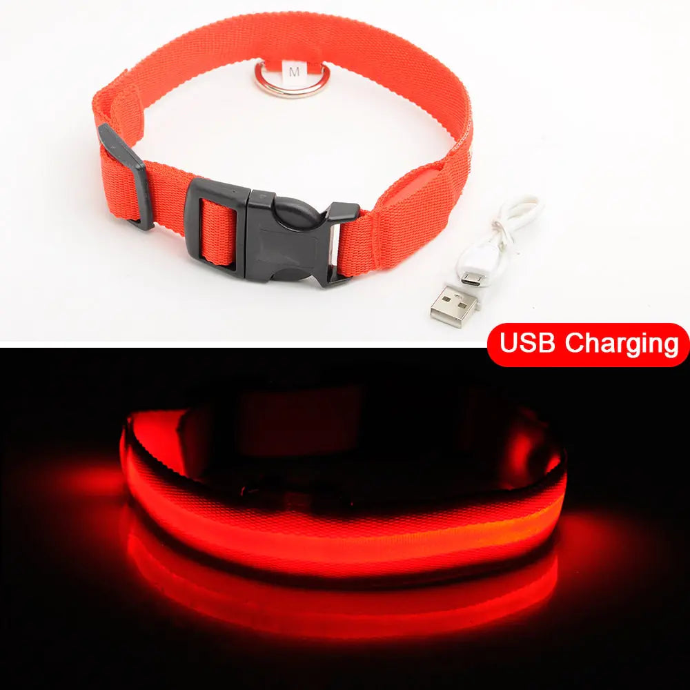 Get 20% OFF an LED Dog Collar + a FREE Copy Of - 15 Essential Safety Tips for Walking Your Dog at Night - eBook