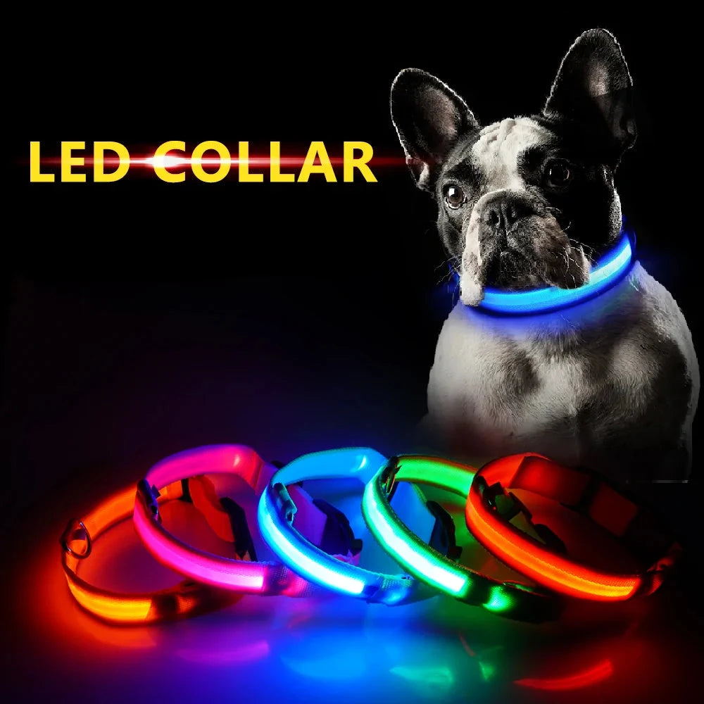 Get 20% OFF an LED Dog Collar + a FREE Copy Of - 15 Essential Safety Tips for Walking Your Dog at Night - eBook
