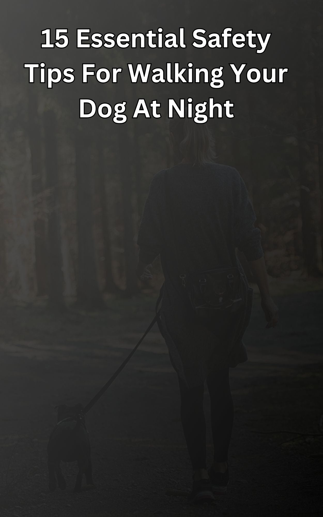 15 Essential Safety Tips for Walking Your Dog at Night - eBook