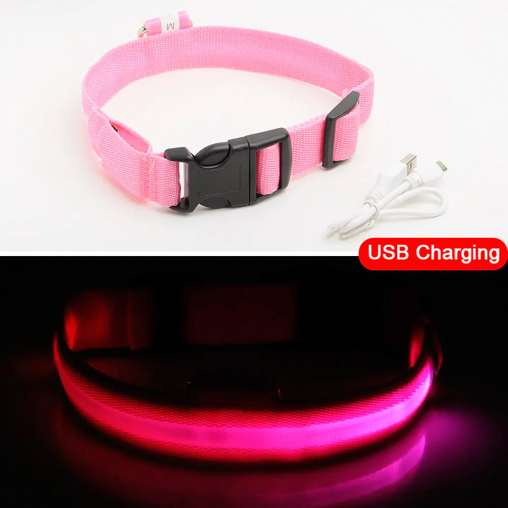 Get 20% OFF an LED Dog Collar + a FREE Copy Of - 15 Essential Safety Tips for Walking Your Dog at Night - eBook