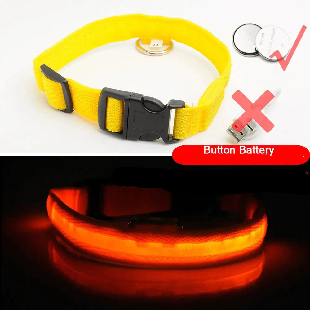 Get 20% OFF an LED Dog Collar + a FREE Copy Of - 15 Essential Safety Tips for Walking Your Dog at Night - eBook
