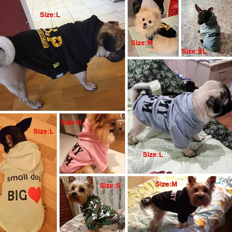 Warm and Secure - Dog Clothes - Small Dog Hoodie Coat