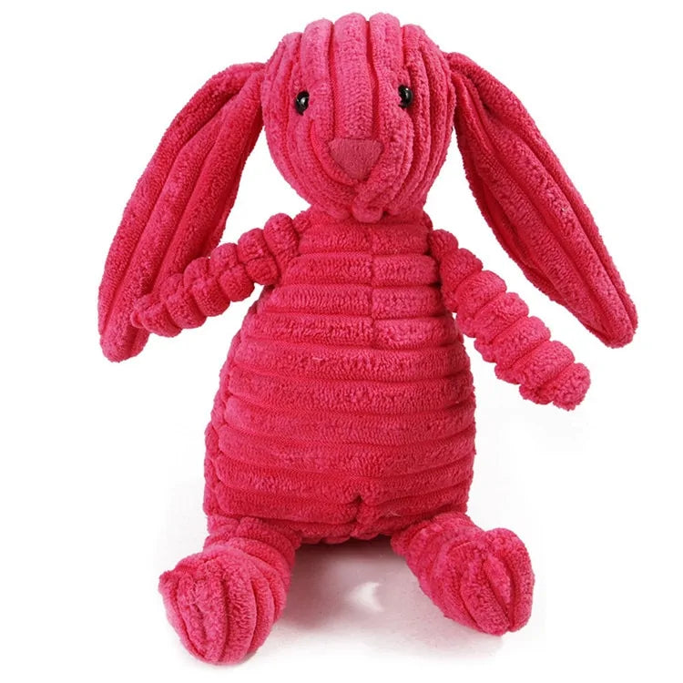 Cute Dog Chew and Squeak Toy