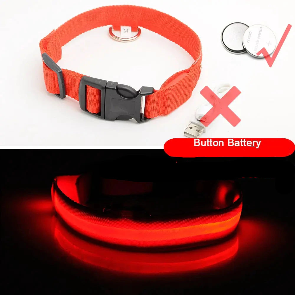 Get 20% OFF an LED Dog Collar + a FREE Copy Of - 15 Essential Safety Tips for Walking Your Dog at Night - eBook