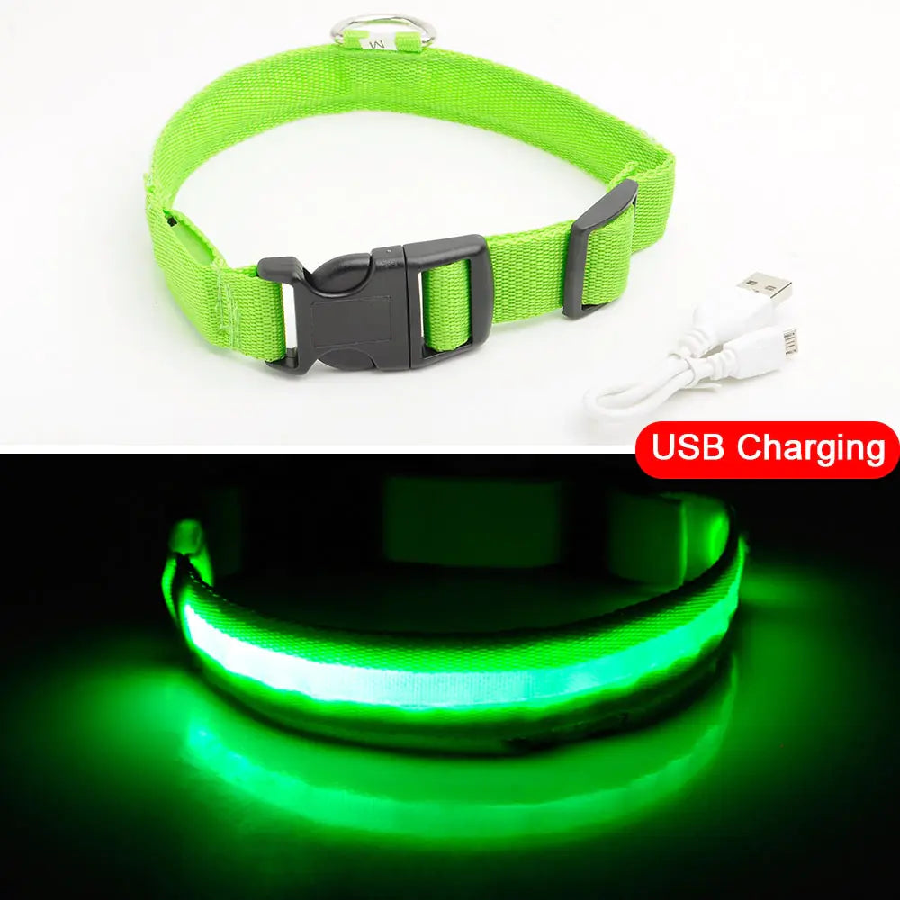 Get 20% OFF an LED Dog Collar + a FREE Copy Of - 15 Essential Safety Tips for Walking Your Dog at Night - eBook