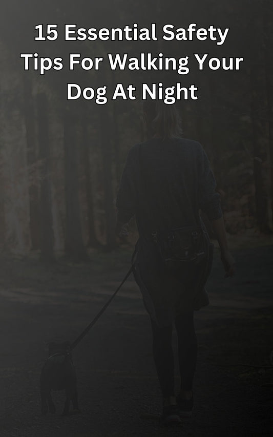 15 Essential Safety Tips for Walking Your Dog at Night - eBook